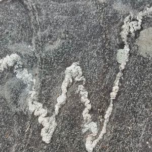 Meet your Posher, Chad